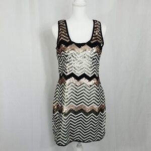 Sass Sequin Dress 12